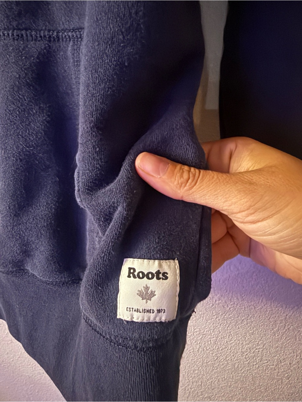 Roots Navy Hoodie with USA Flag Graphic - Picture 3 of 4